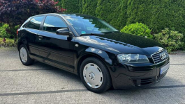 Audi A3 8P 1.6 MPI 101KM Czarna Niski Przebieg Klimatronik Opłacona Wrocław - zdjęcie 9