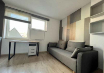 1pok, 16met, okolice Joanitów WINDA/2019 (Wrocław) Krzyki - zdjęcie 5