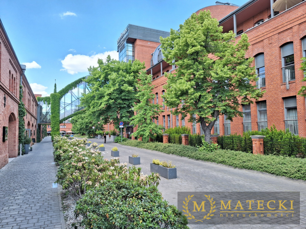 City Park, basen, ochrona, PREMIUM Grunwald - zdjęcie 2