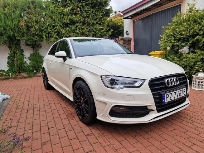 Audi A3 S-Line 1.6 Tdi Xenon Led Bardzo Sliczna Poznań - zdjęcie 1