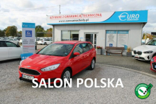 Ford Focus Gwarancja Salon Polska Kombi Trend