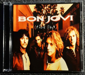 Polecam Album CD BON JOVI - Album These Days CD Katowice - zdjęcie 1