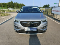 Opel Grandland X Lipówki - zdjęcie 5