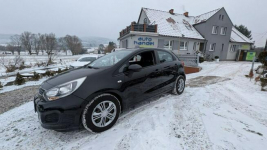 Kia Rio 1,25 benzyna Pierwsza Rejestracja 2015