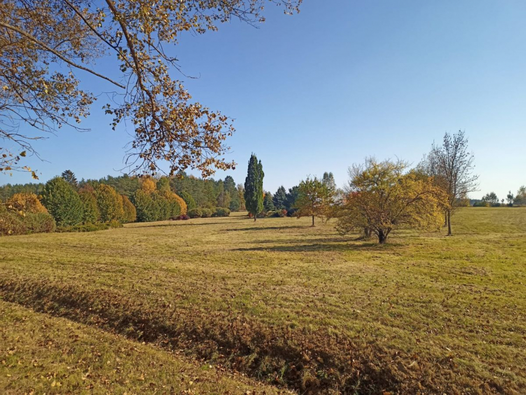 Działka budowlana Słójka Słójka - zdjęcie 9