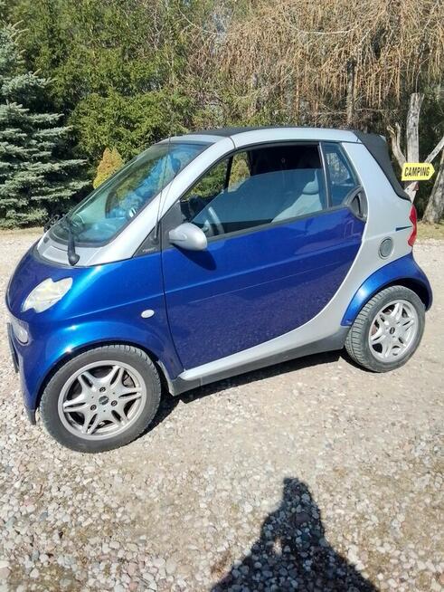 Sprzedam Nowe Bagienice - zdjęcie 3