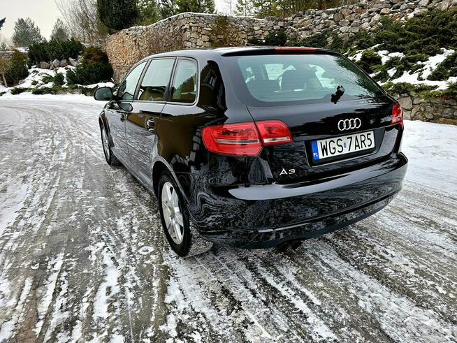 Audi A3 Lift 1.9 TDI DSG 5 Drzwi Serwis Zagnańsk - zdjęcie 6