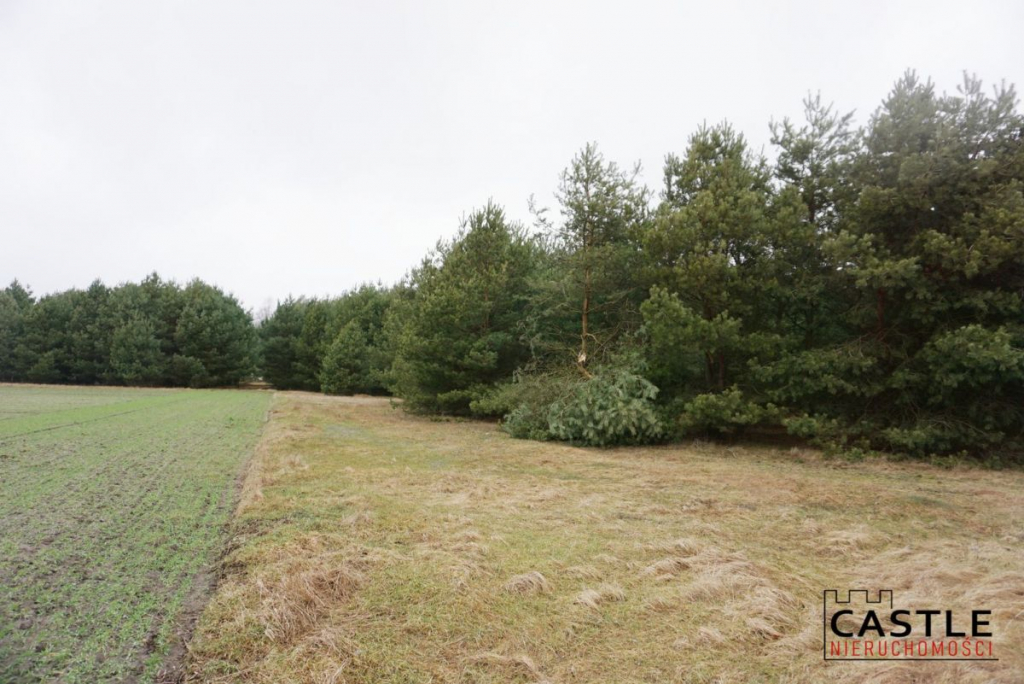 Działka w pięknej okolicy Stefanowice - zdjęcie 5