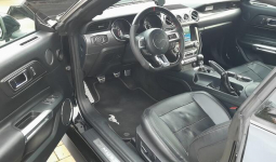 Mustang turbo, performance pack + premium pack + modyfikacje Chruszczobród - zdjęcie 10