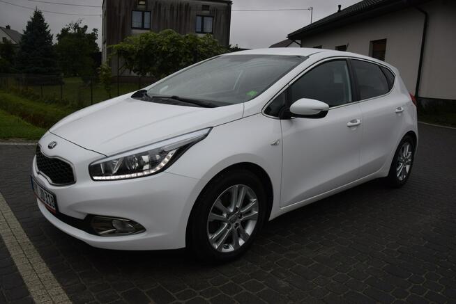 Kia Cee'd 1.4B 2015r Navi Kamera Led 142 Tys Km Sprowadzony Majdan Sieniawski - zdjęcie 5
