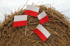 POLSKA #chorągiewki #flagi #biało czerwone #flagietki Plewiska - zdjęcie 1