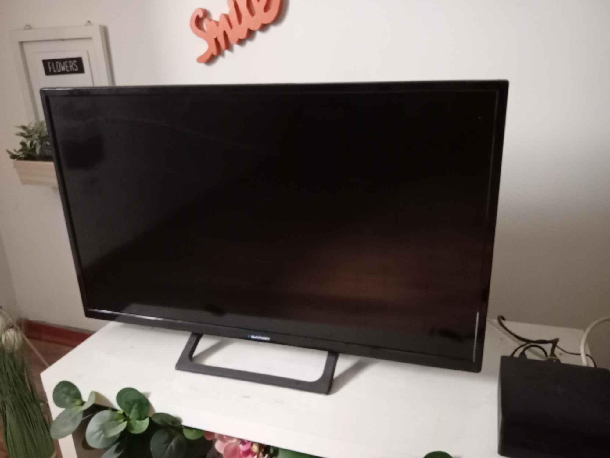 Anna Grunwald - zdjęcie 3