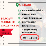 Praca w markecie, Dino Polska S.A. Sulików