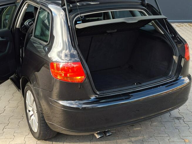 Audi A3 * 1.9TDi* czarny* 5DRZWI* bdb stan* KLIMA* alufelgi * Olsztyn - zdjęcie 12