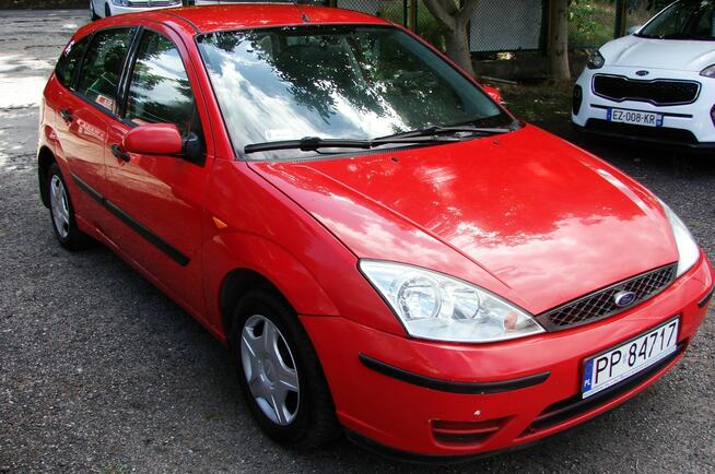 Ford Focus Bezwypadkowy , Polski salon , Super stan Piła - zdjęcie 2