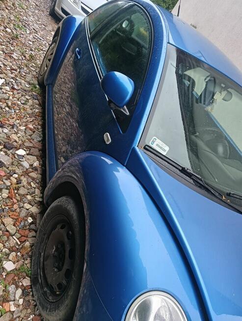 New Beetle Puławy - zdjęcie 2