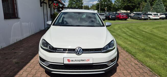 Volkswagen Golf Alltrack Zarejestrowany Paproć - zdjęcie 2