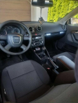 Sprzedam Audi A3 Sportback Zielenie - zdjęcie 10