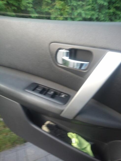 Sprzedam Jelna - zdjęcie 7