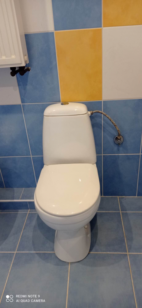 Sprzedam Sowlany - zdjęcie 4