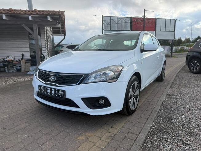Kia Pro Cee'd Słupsk - zdjęcie 5
