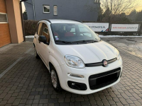 Fiat Panda 1,2 69KM  Klimatyzacja  Serwisowany  1Właściciel Orzech - zdjęcie 3