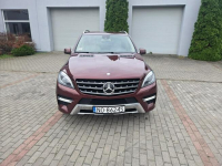 Mercedes ML 350 4Matic Ostrołęka - zdjęcie 2