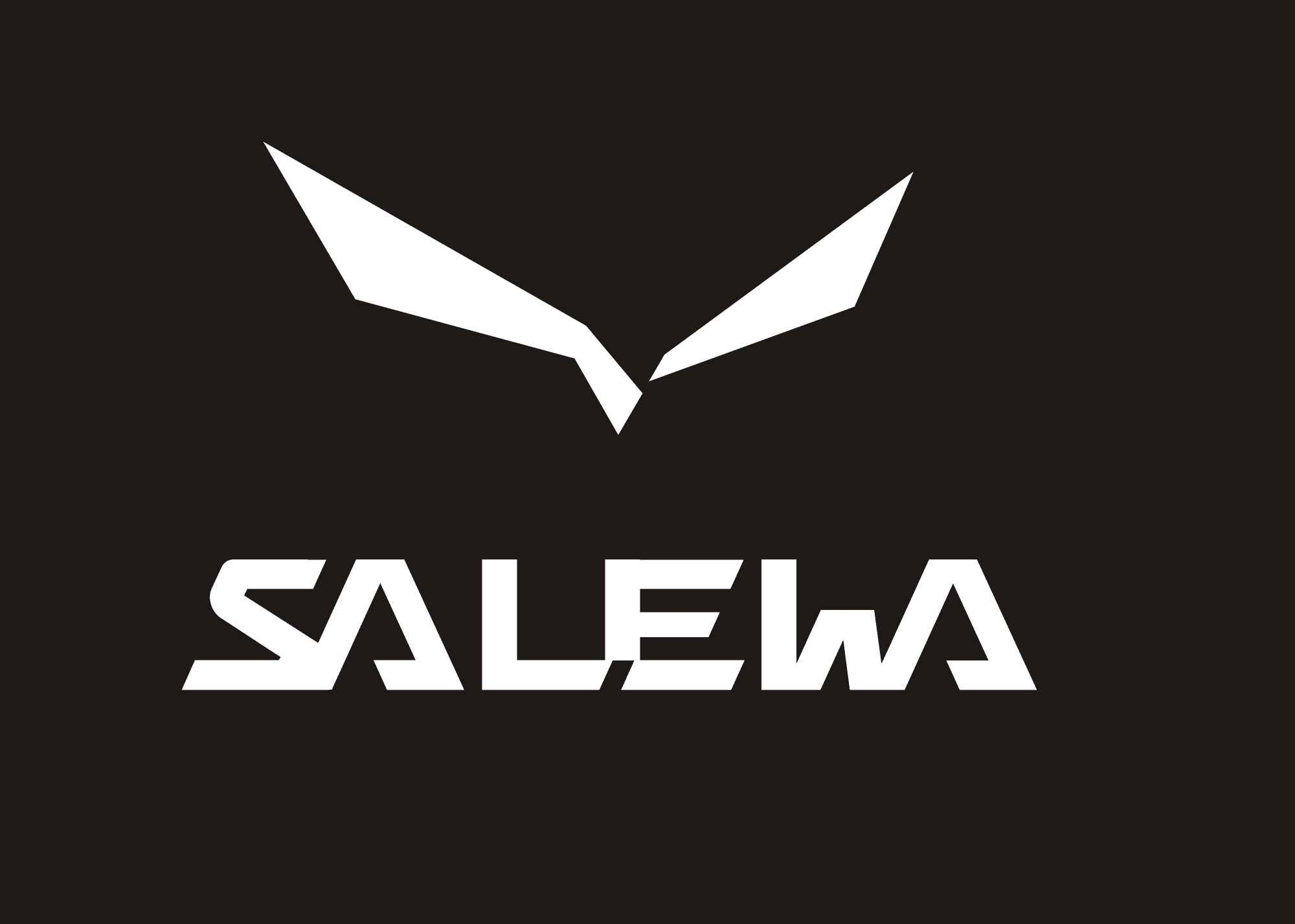 SALEWA termo naprasowanka prasowanka koszulka t-shirt dres bluza Śródmieście - zdjęcie 1