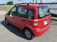 Fiat Panda Lipówki - zdjęcie 9