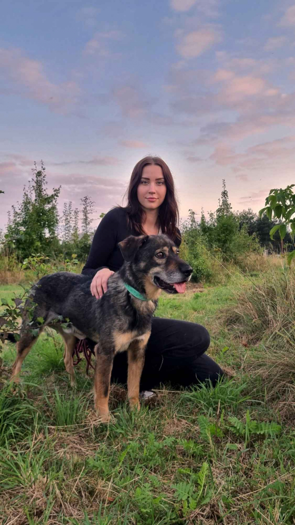 Borys - kochana psia przylepa szuka domu! Olsztyn - zdjęcie 5