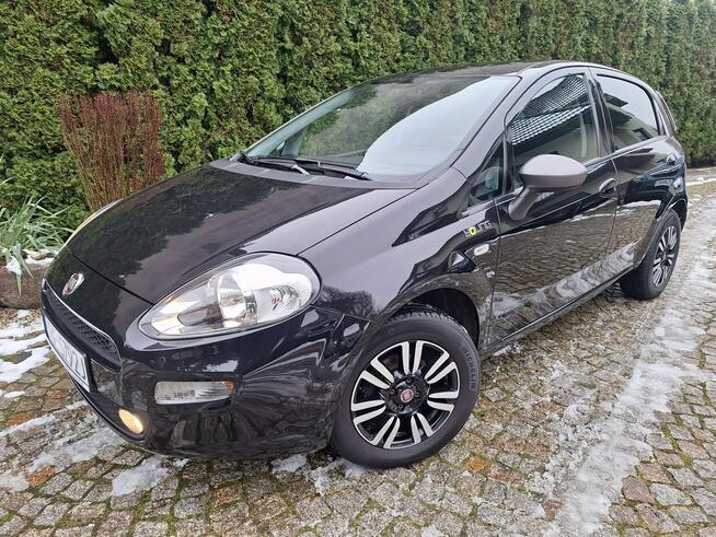 Fiat Punto 1.4 Young Navi Siewierz - zdjęcie 2