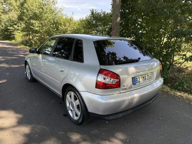 Audi A3 1.6 MPI 102KM Klima Zadbany Sprawny Ocice - zdjęcie 4