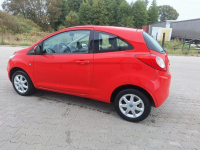 Ford KA Serwis.Bezwypadek Stargard - zdjęcie 6