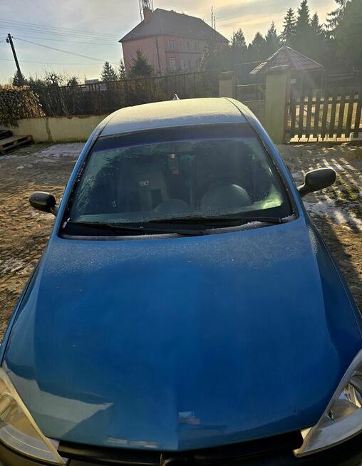 Corsina po modyfikacjach Nakło nad Notecią - zdjęcie 3