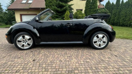 Volkswagen Beetle Przasnysz - zdjęcie 5