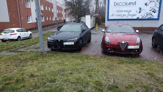 Alfa Romeo Gullieta sprzedom Gorzów Wielkopolski - zdjęcie 4