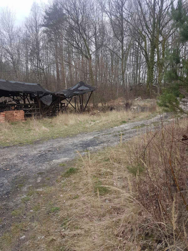 Dz. Inwestycyjna (31622 m2) ze starą cegielnią (Kościelnik) Kościelnik - zdjęcie 6