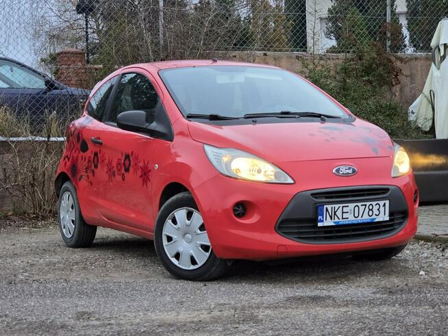 Ford KA 1.2 Titanium*Klima*Pełen serwis Kętrzyn - zdjęcie 2