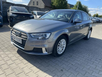 Audi A3 Klimatronik Parktronik LED Gliwice - zdjęcie 5