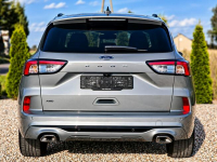 Ford Kuga Sadlno - zdjęcie 7
