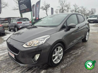 Ford Fiesta 1.0 Turbo 100KM 5drzwi Ładna