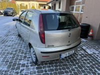 Fiat Punto 1,2 60KM  Klimatyzacja Orzech - zdjęcie 9