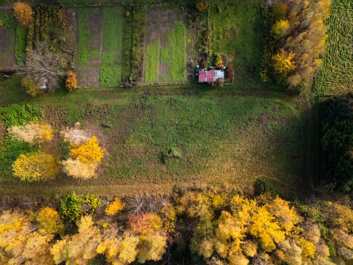 Kameralna okolica | Krakowska | WZ | Zieleń Rzeszów - zdjęcie 8