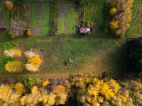 Kameralna okolica | Krakowska | WZ | Zieleń Rzeszów - zdjęcie 8