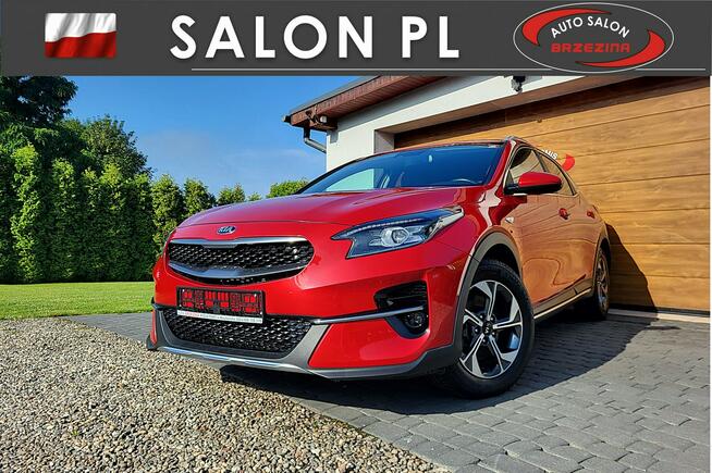 Kia XCeed serwis ASO, hak Rydułtowy - zdjęcie 2