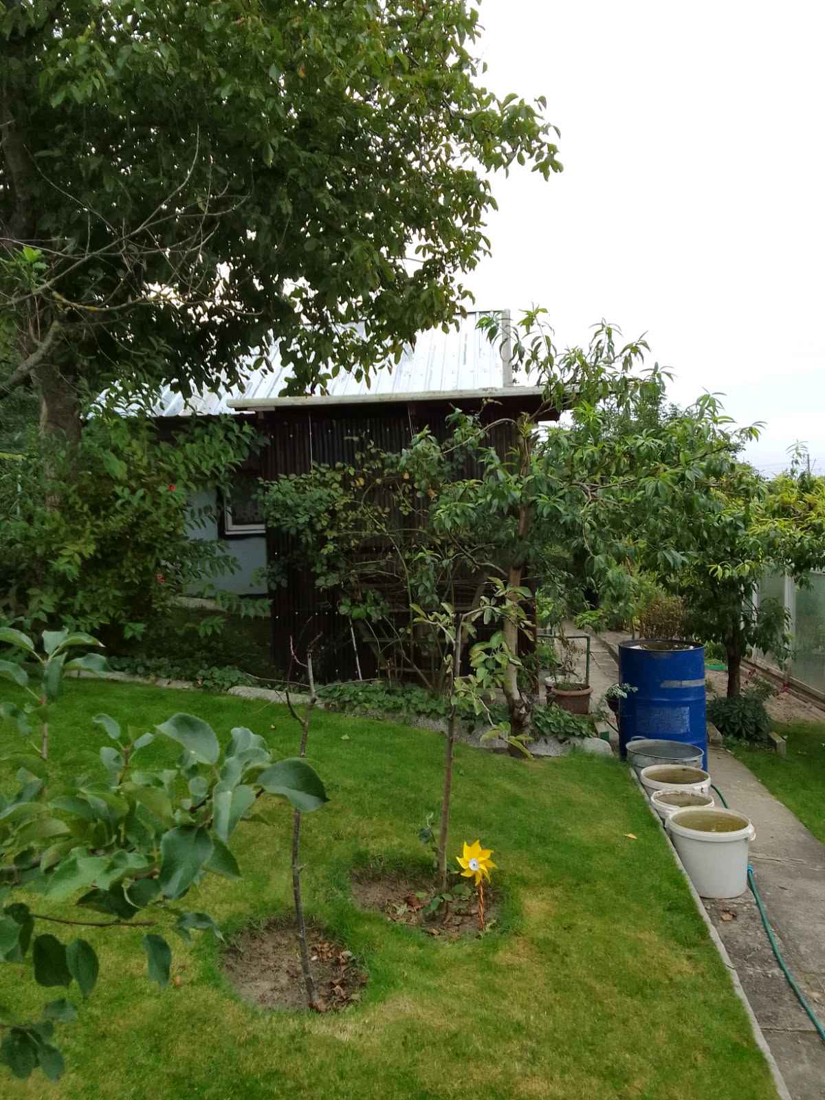 Działka rekreacyjna ROD 🍓 Iława Iława - zdjęcie 6