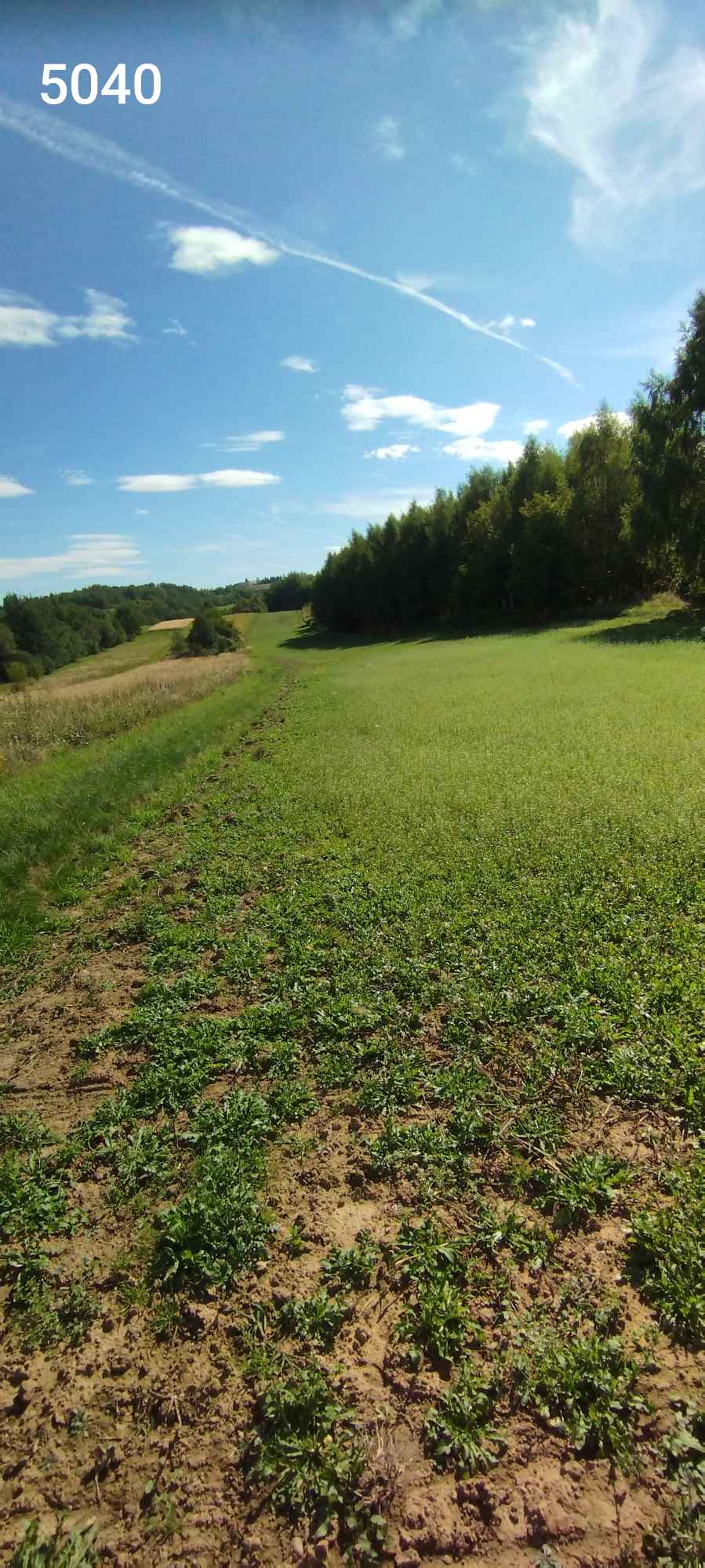 2 działki 1,47ha łącznie na obrzeżach Rzeszowa Rzeszów - zdjęcie 8
