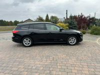 Ford Focus Jak nowy Lipówki - zdjęcie 11