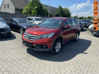 Honda CR-V Elegance 4x4 Climatronic Led Kamera Gliwice - zdjęcie 1