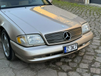 Mercedes SL 500 2000 SL500 pakiet AMG LIFT zarejestrowny LUXURYCLASSIC Koszalin - zdjęcie 9